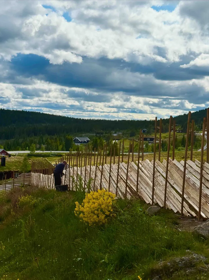 Skigard med granstaur i Hallingdal