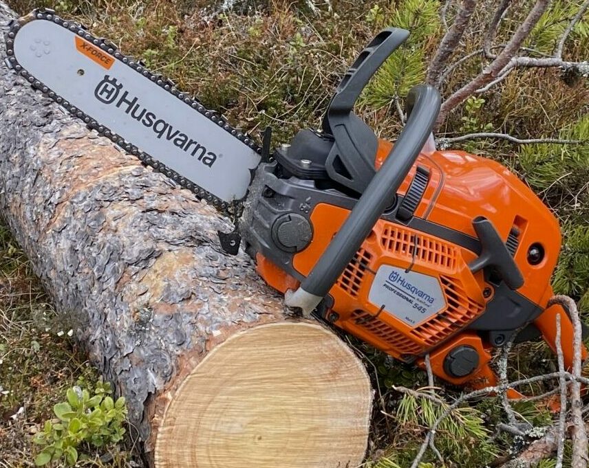 Trefelling Hallingdal